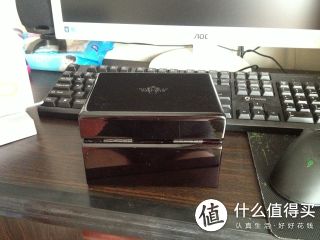 盒子菊花